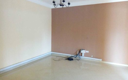 Luxurious duplex for lease